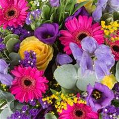 Florist Choice Hand Tied in Water Vibrant in Colour
