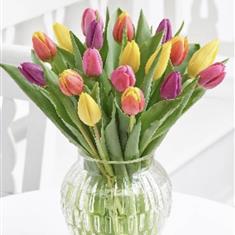 Mixed Tulip Vase
