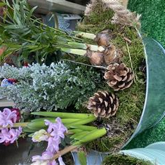 Rose and Hyacinth Christmas Planter