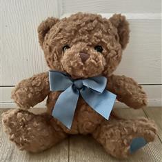 Luca Teddy Bear