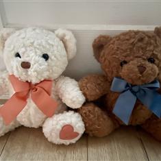 Olivia and Luca Teddy Bears