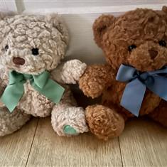 Luca and Jude Teddy Bears 