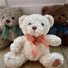 Olivia, Luca and Jude Teddy Bears 